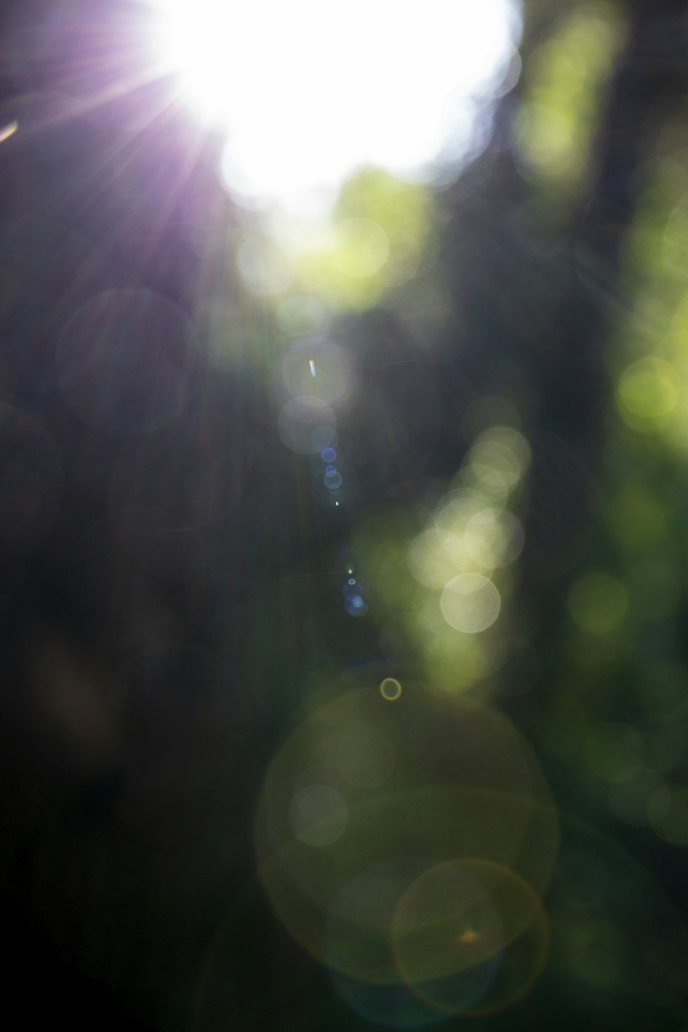 bokeh photography of lights during night time