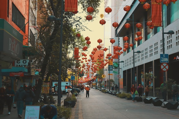 people walking on street during daytime