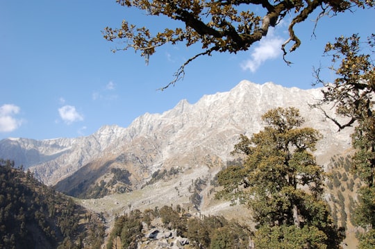 green trees near mountain under blue sky during daytime in Triund Hill India