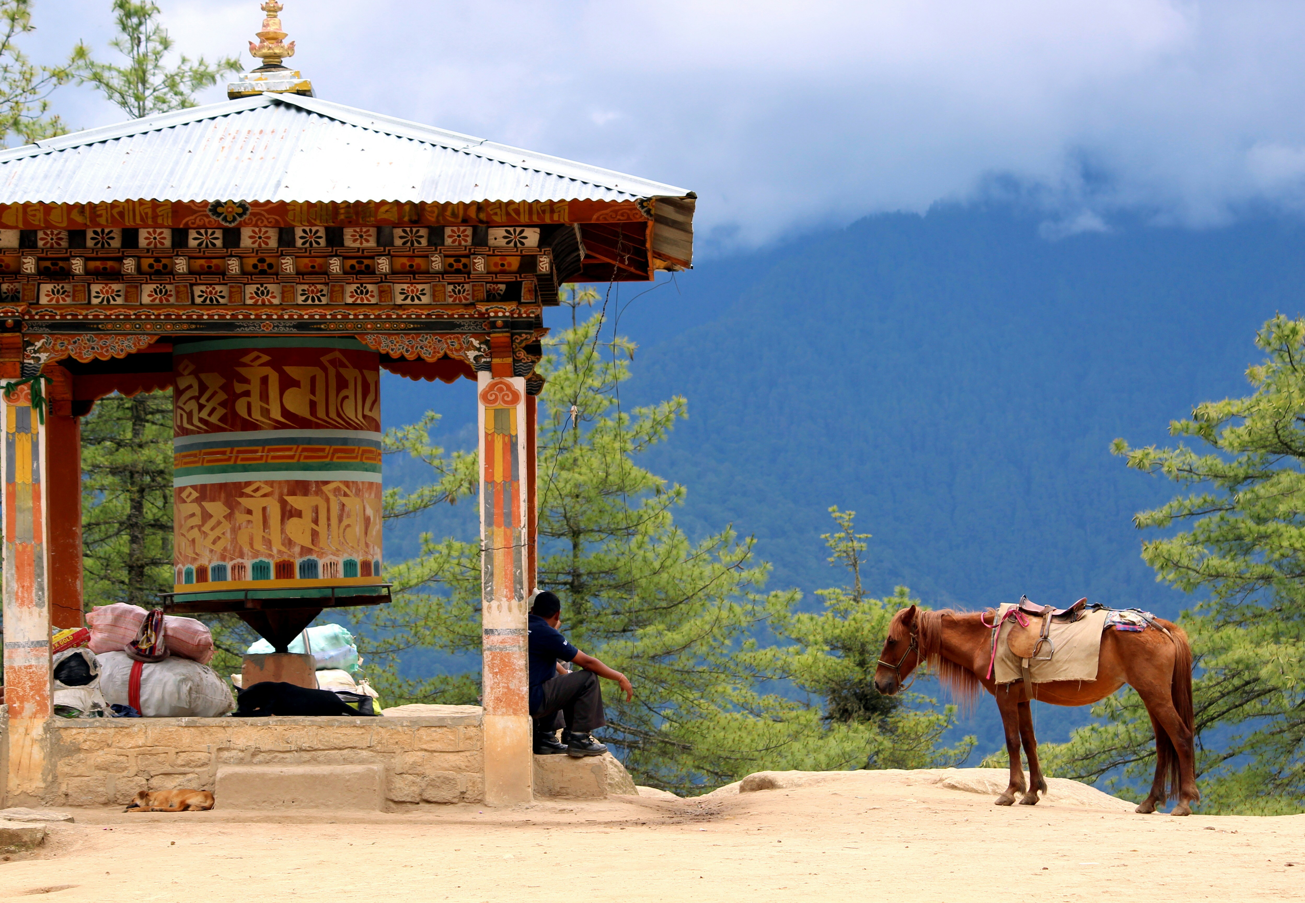 Stay online in the Bhutan with a prepaid eSIM from eSIMlii. Instant activation, no roaming charges, and reliable coverage.