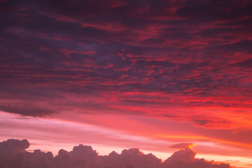 silueta de árboles bajo cielo naranja y azul