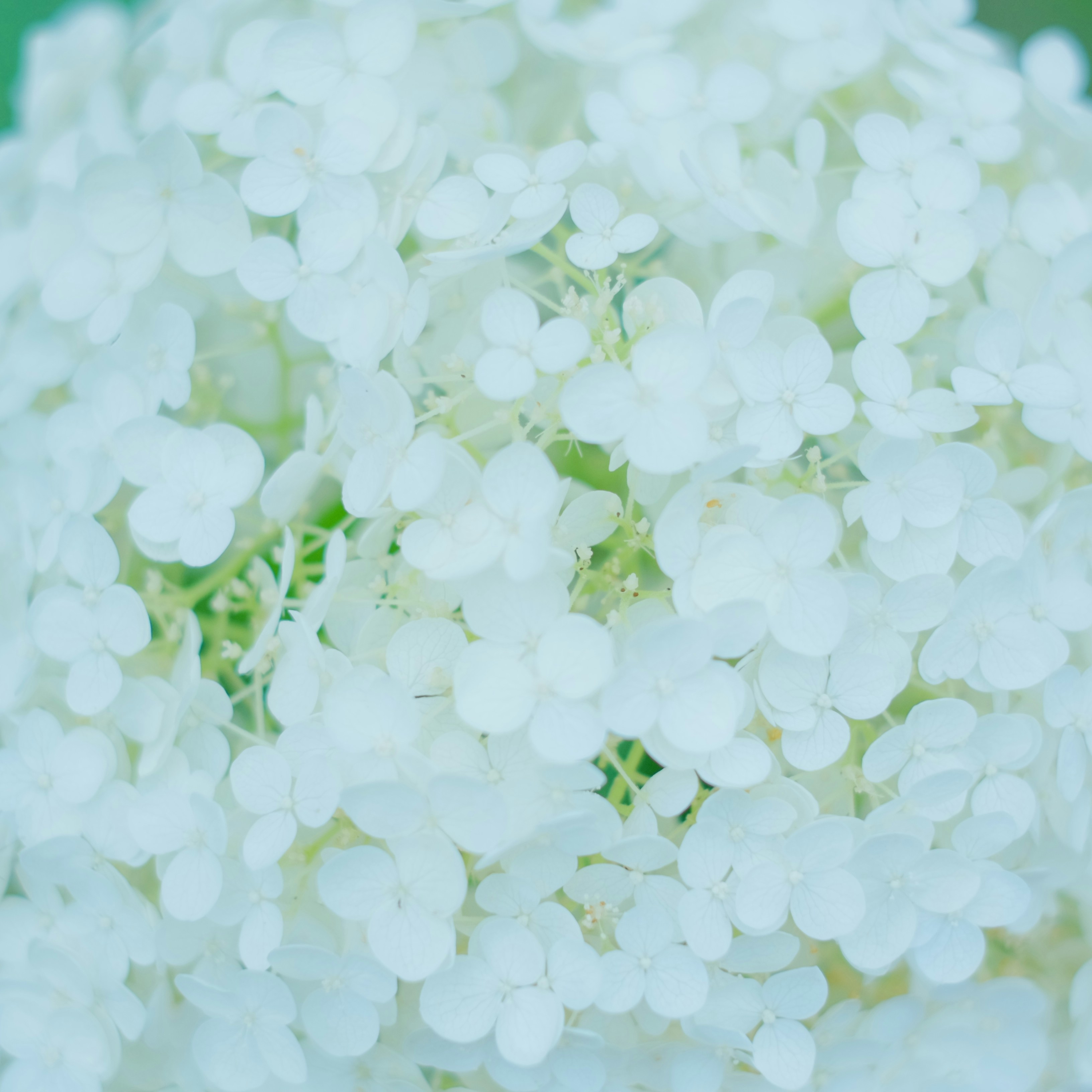 Photo by kiyomishiomura