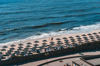 people on beach during daytime
