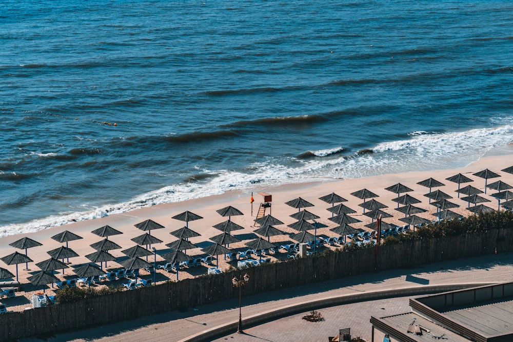 people on beach during daytime