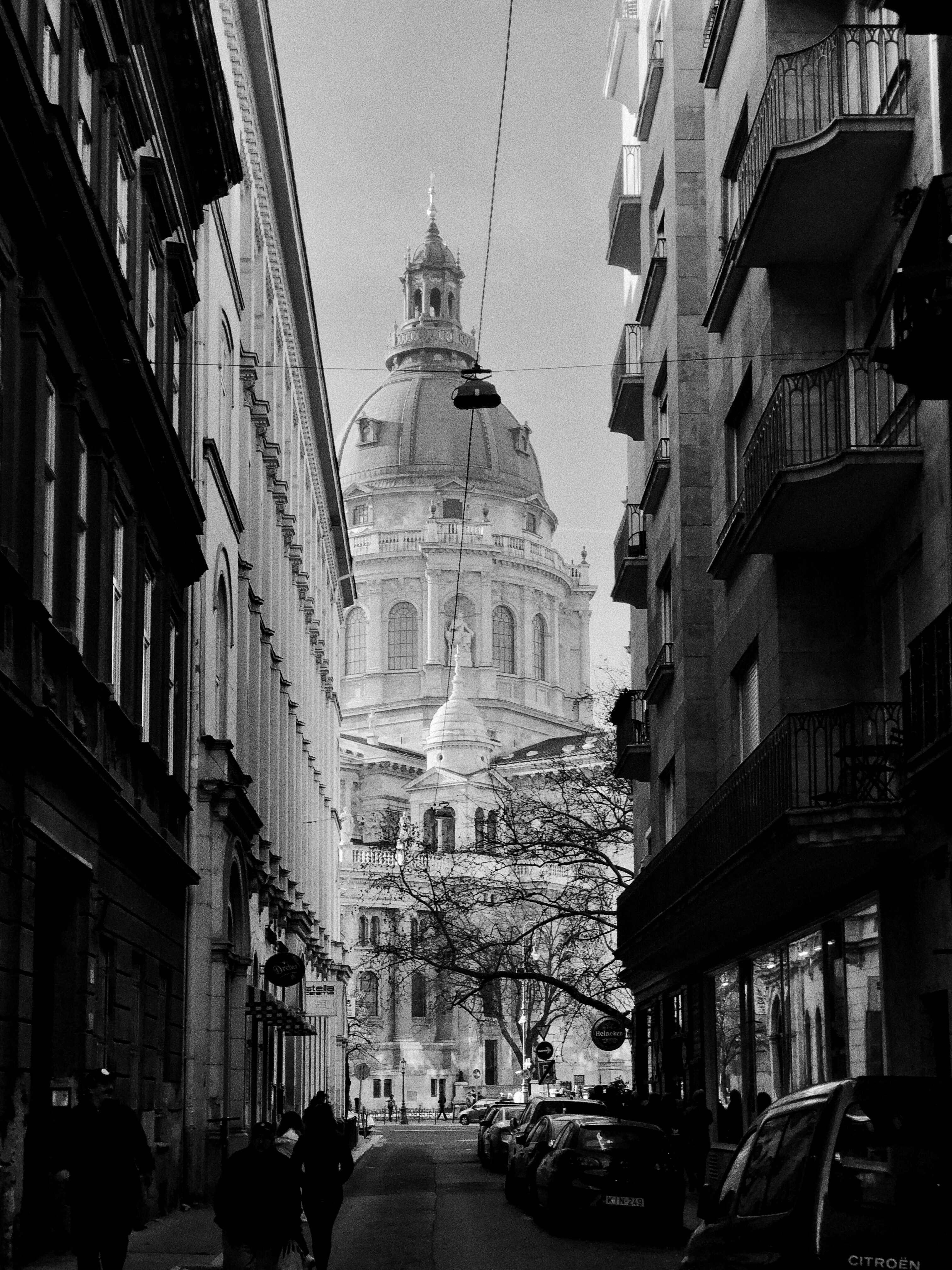 Photo by shandranick