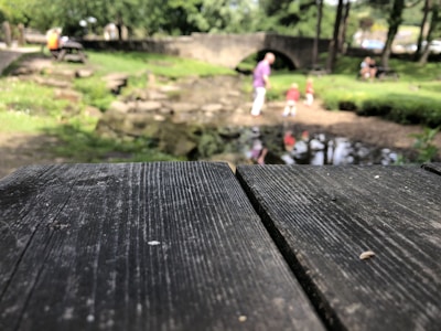 A joyful group of church members gathered outdoors during a summer picnic at Bridgeport United Methodist Church.