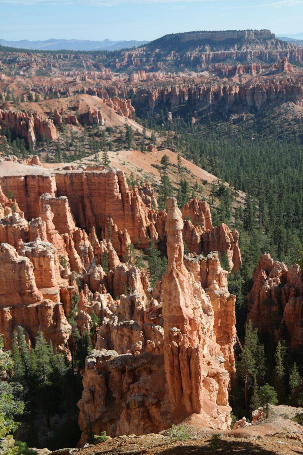 brown rocky mountain with green trees during daytime