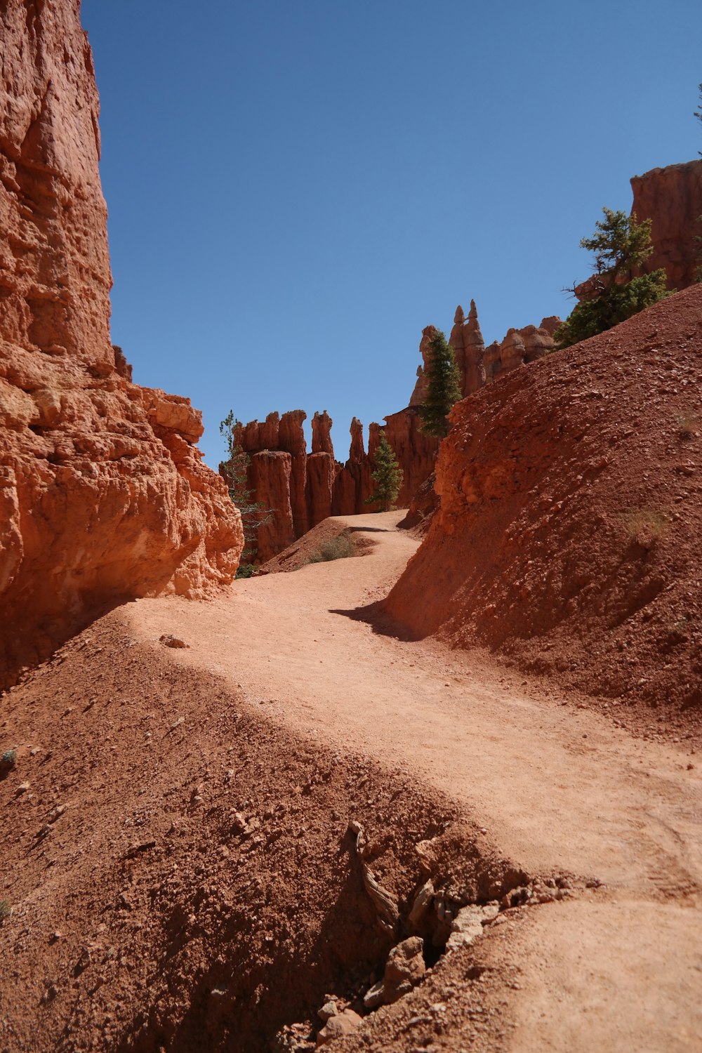 brown rock formation near green trees during daytime