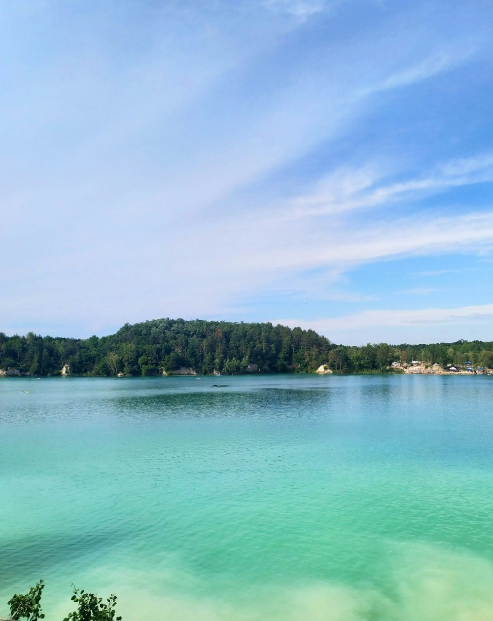 alberi verdi accanto allo specchio d'acqua sotto il cielo blu durante il giorno