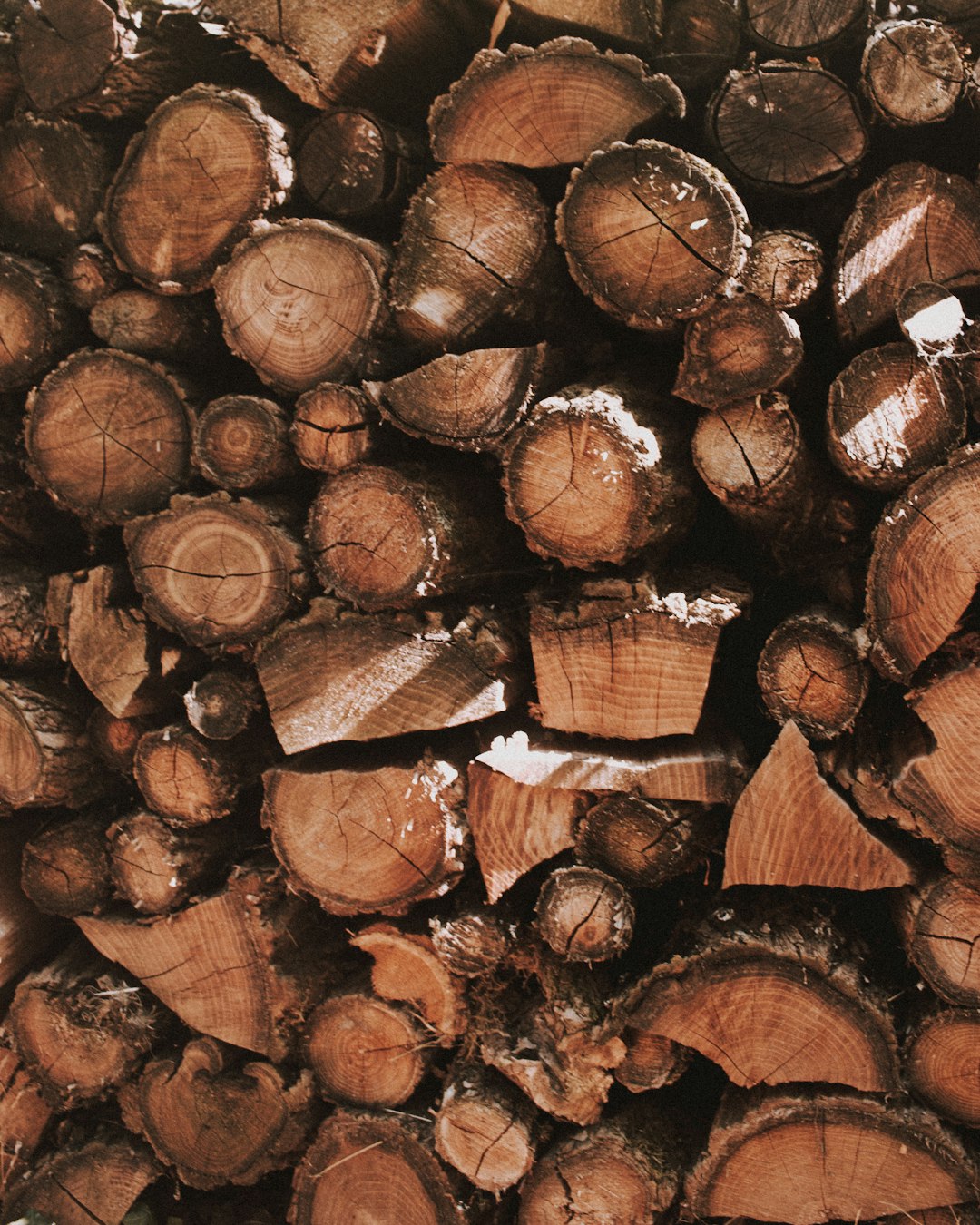 brown wooden logs during daytime
