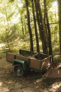 A small, empty trailer with a dark green frame and brown panels stands on a forest floor covered with grass and leaves. Sunlight filters through the tall trees, creating dappled patterns of light and shadow.