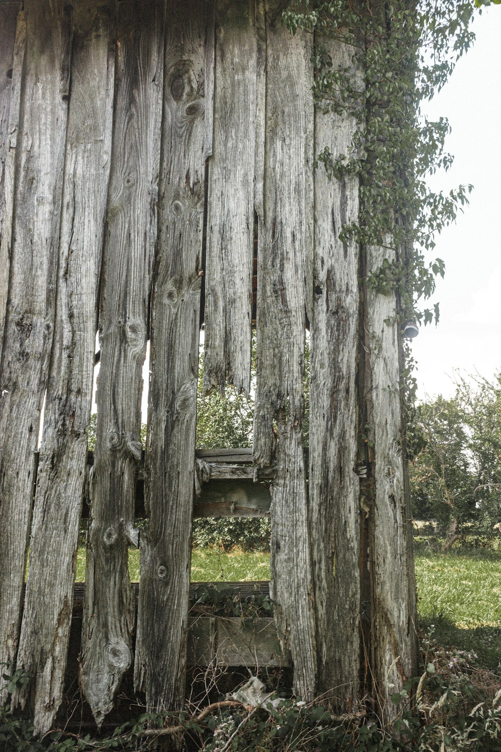 brown wooden fence on green grass field