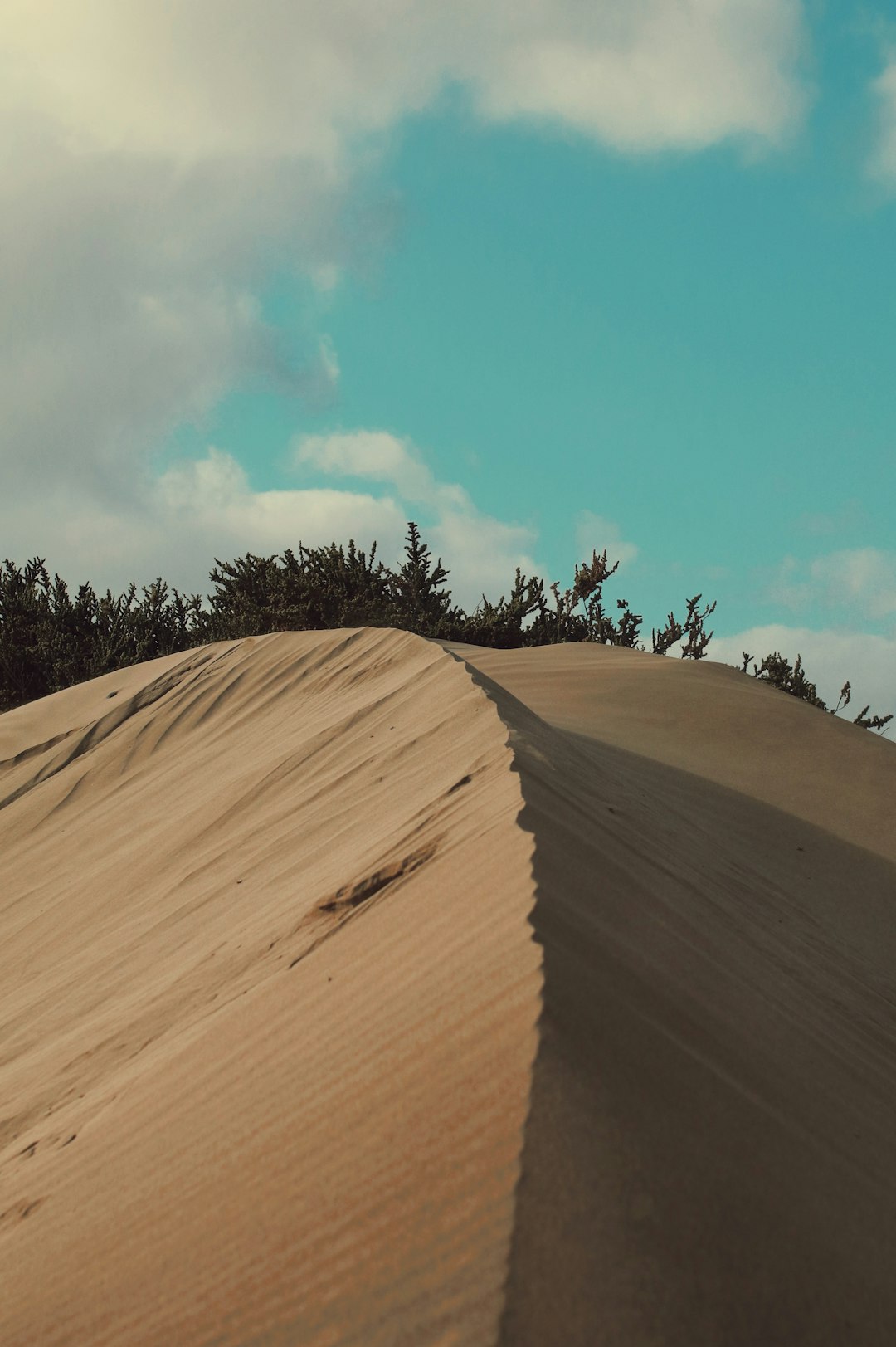 brown sand under blue sky during daytime