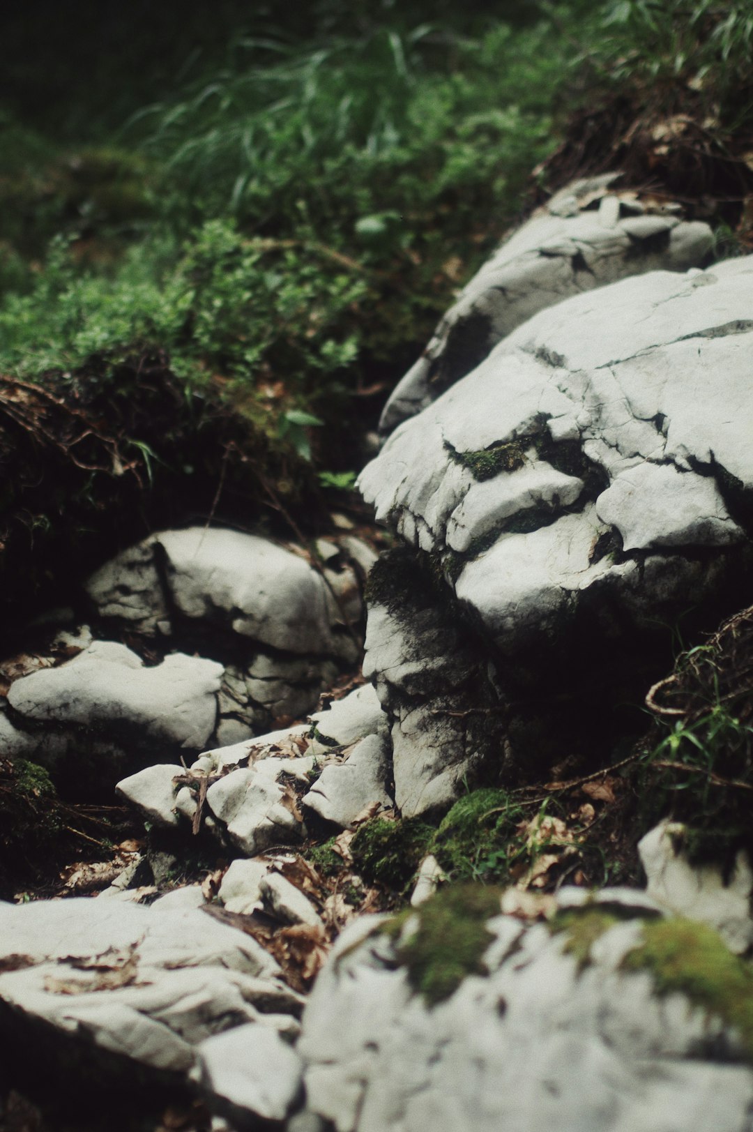 gray rock near green grass during daytime