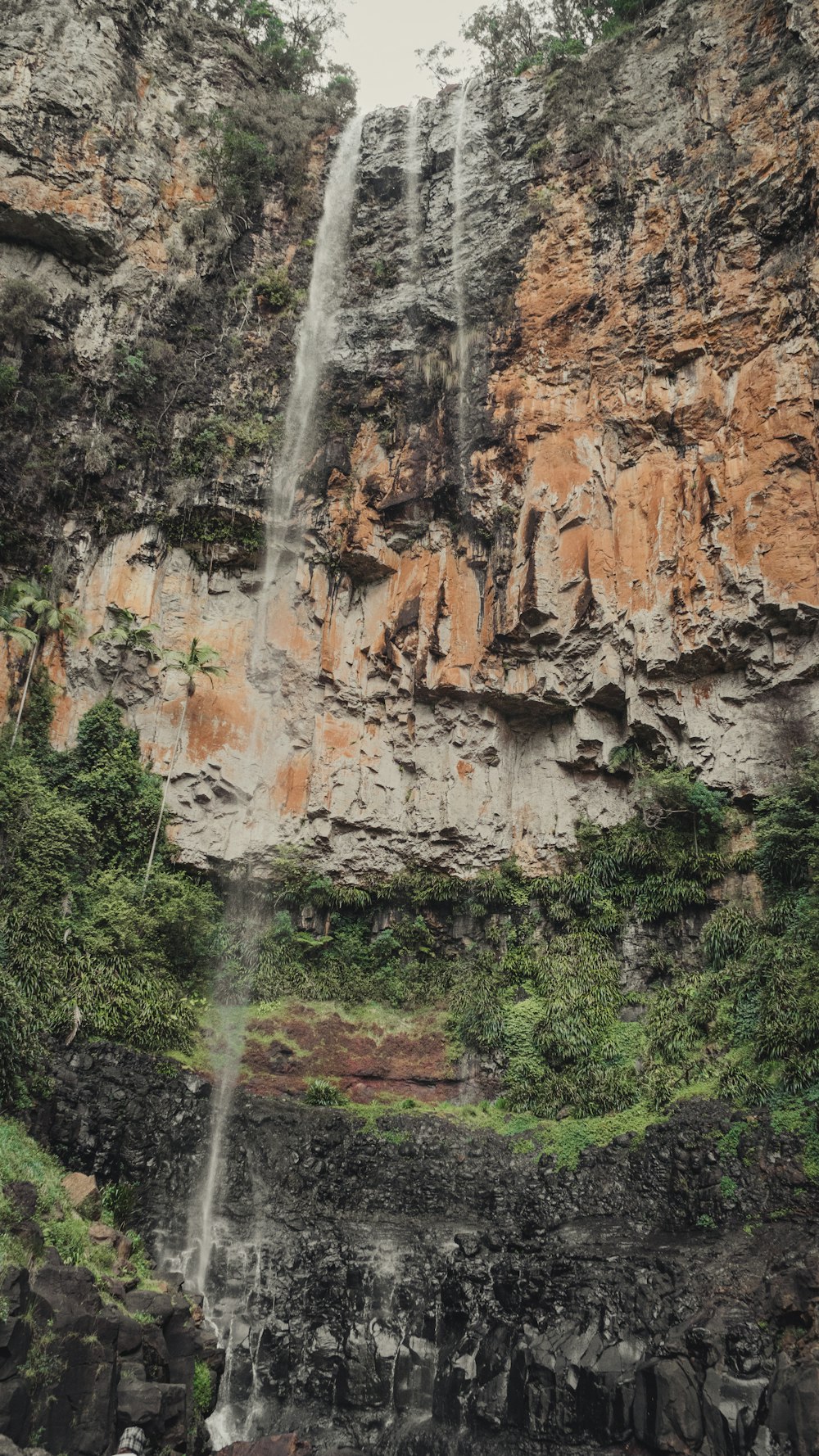 waterfalls in the middle of forest during daytime