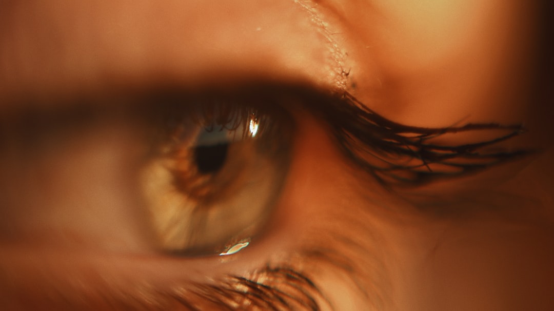 close up photo of human eye