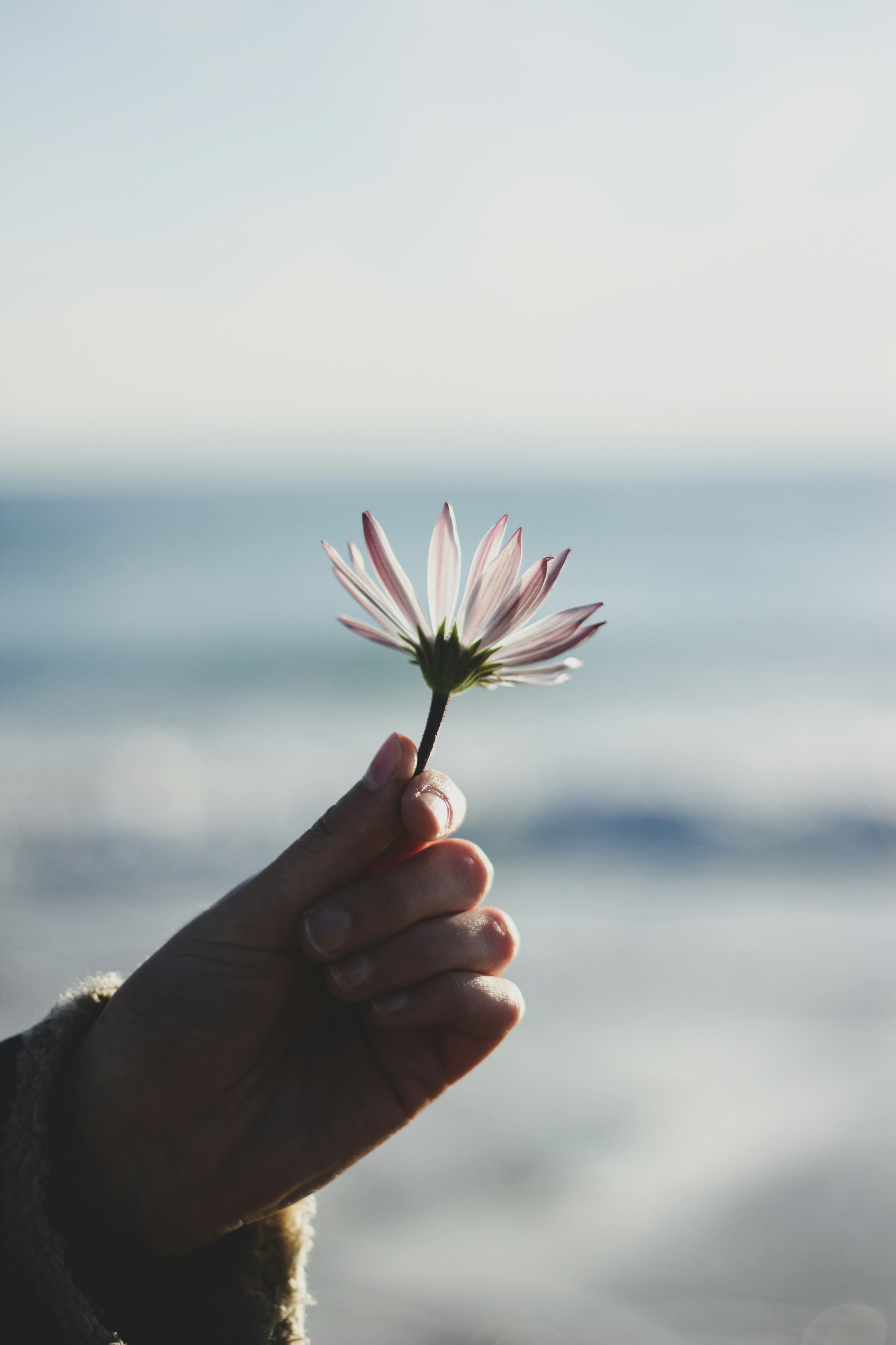 Photo by scottkelley