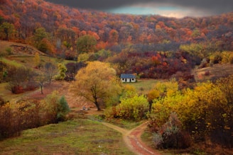 brown and white house surrounded by trees under cloudy sky during daytime