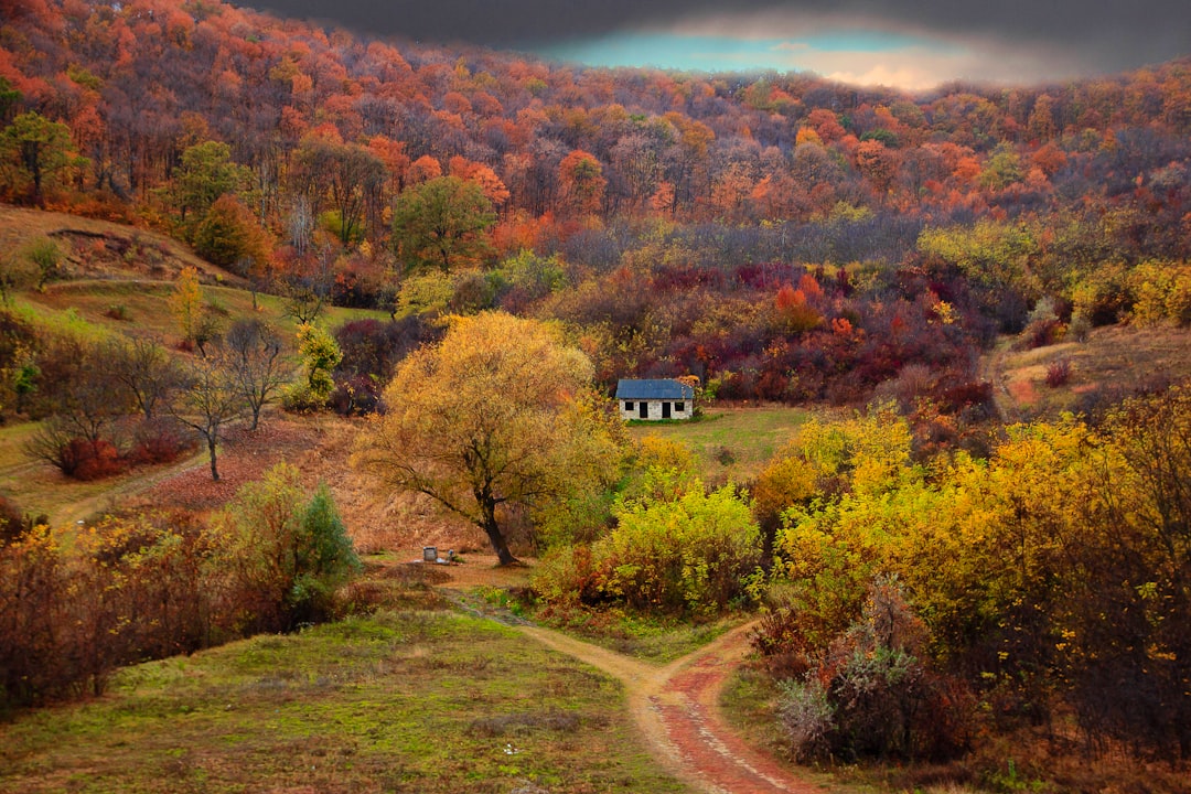 brown and white house surrounded by trees under cloudy sky during daytime