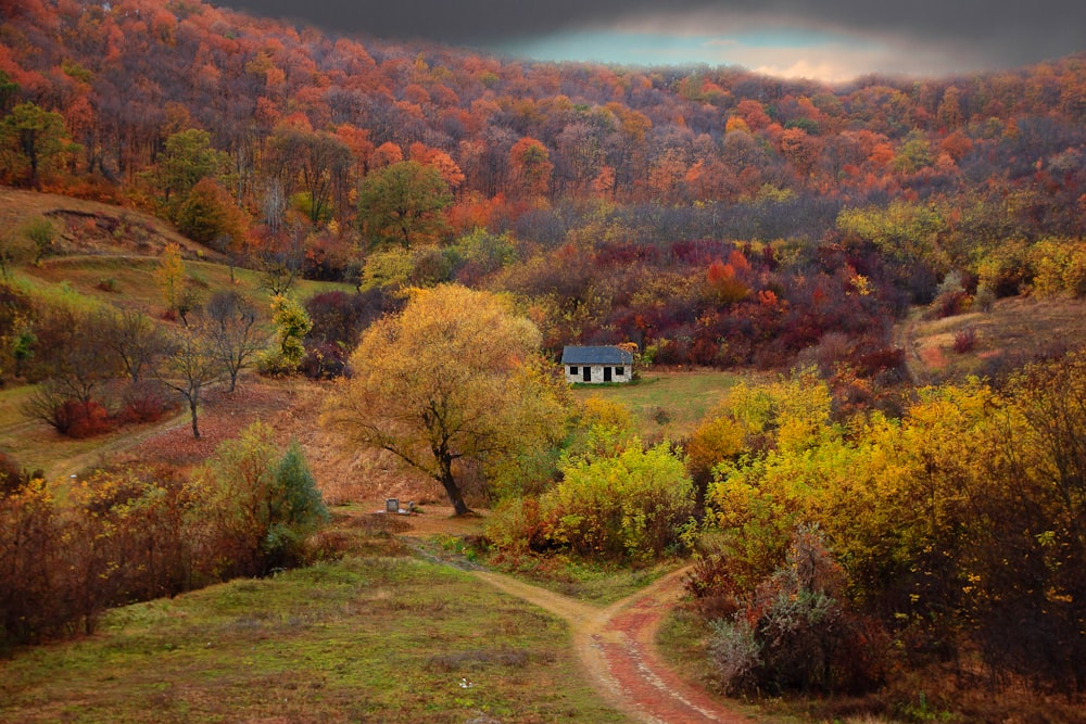 brown and white house surrounded by trees under cloudy sky during daytime