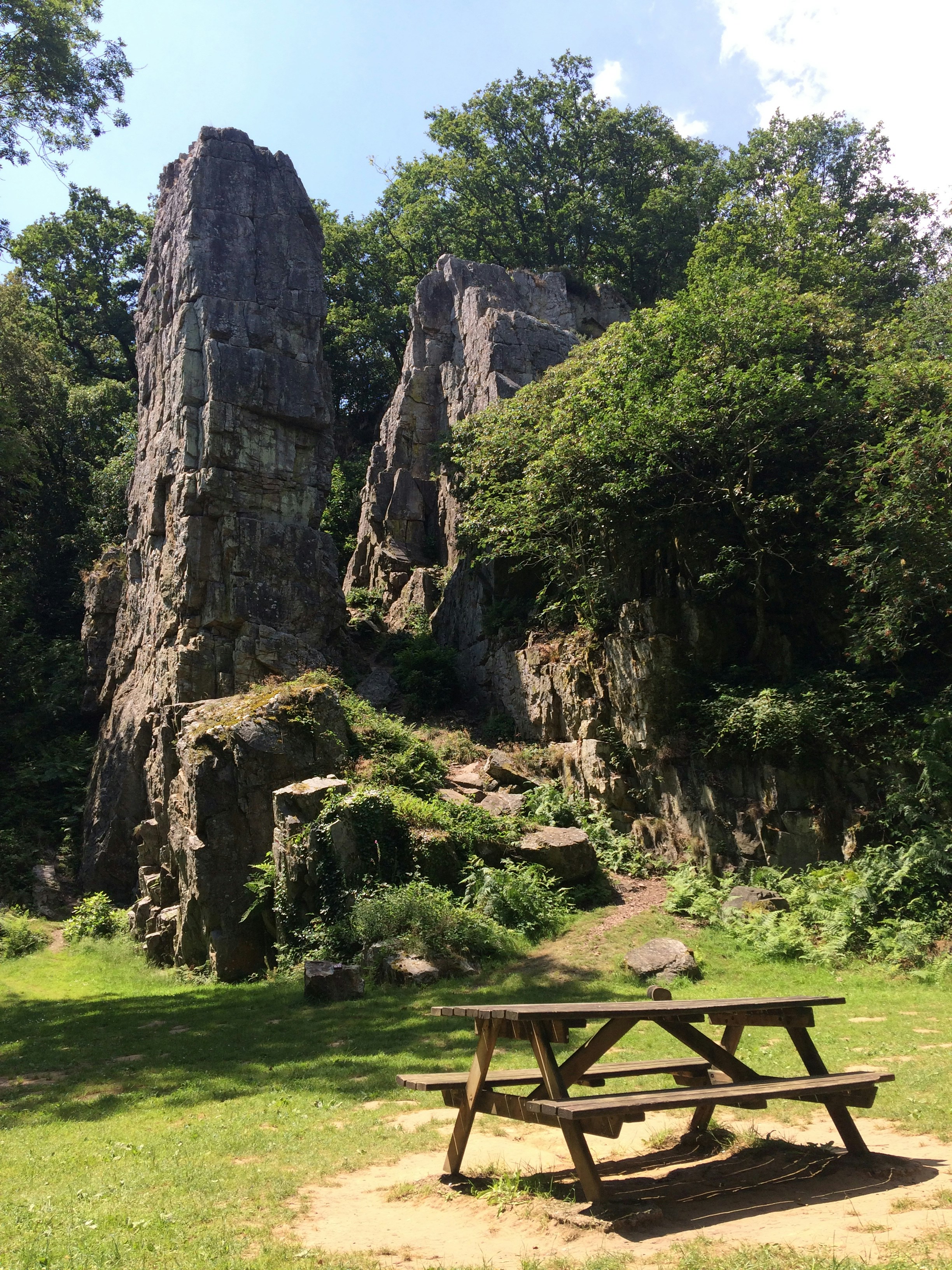 Brown wooden picnic table on green grass field near gray rock formation ...