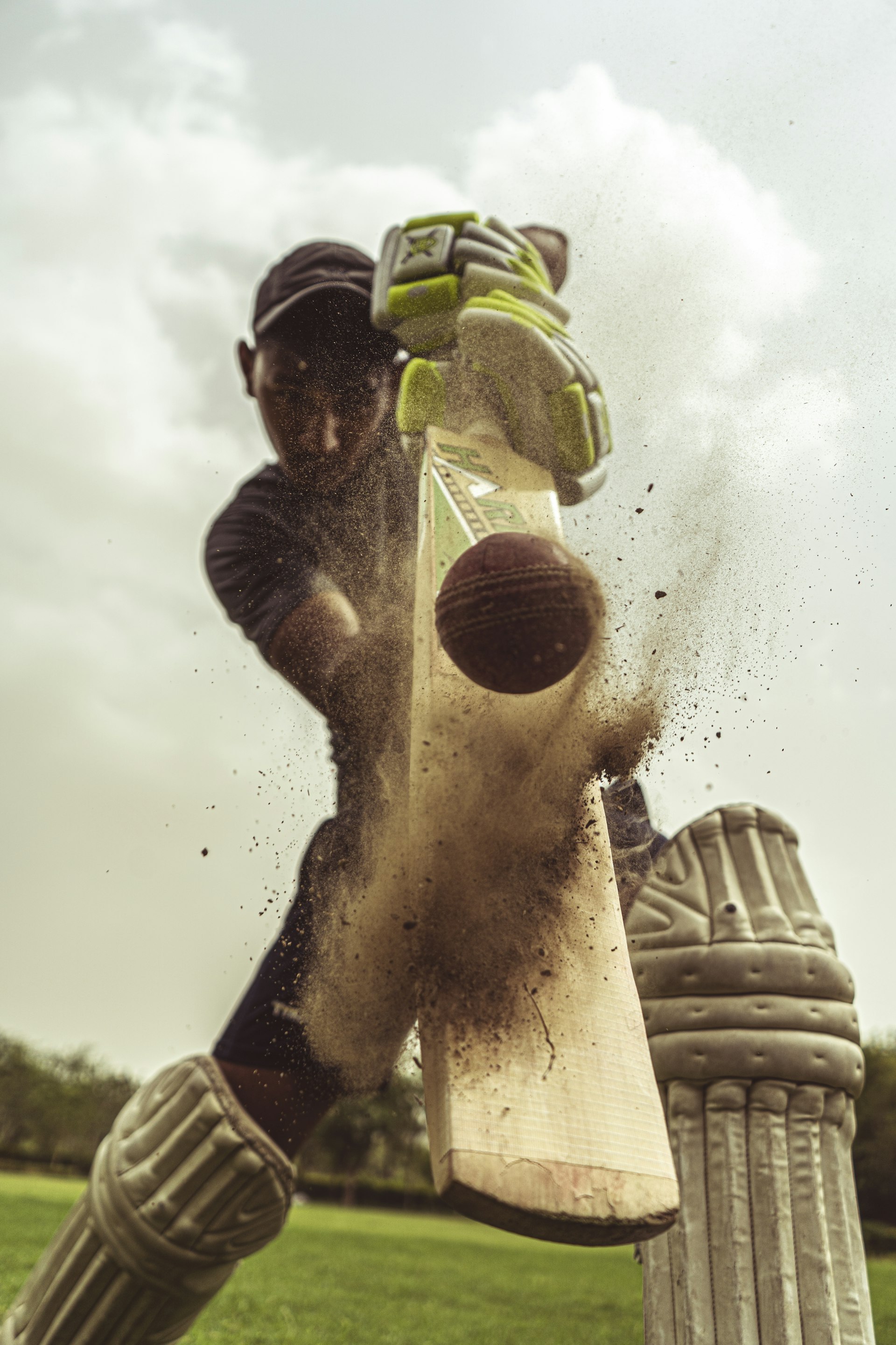 Cricket action