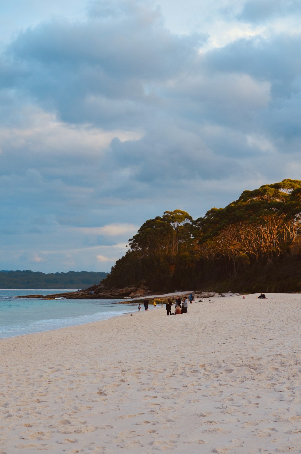 people on beach during daytime