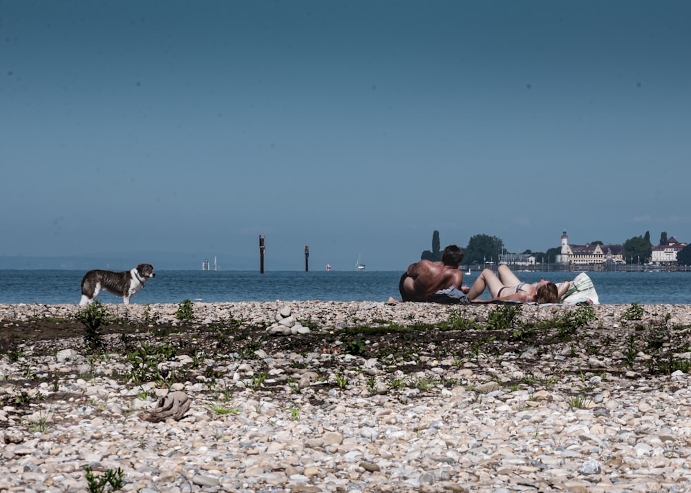 personas acostadas en la orilla de la playa durante el día