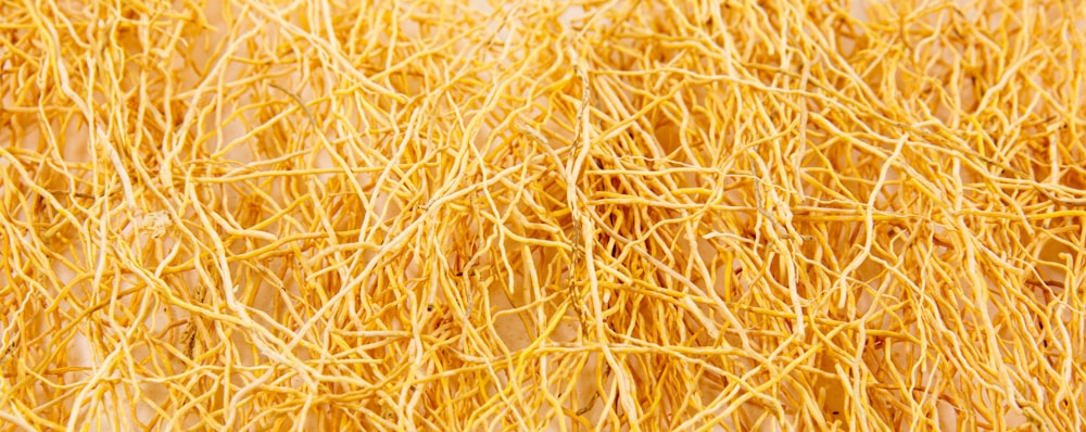 brown dried grass in close up photography