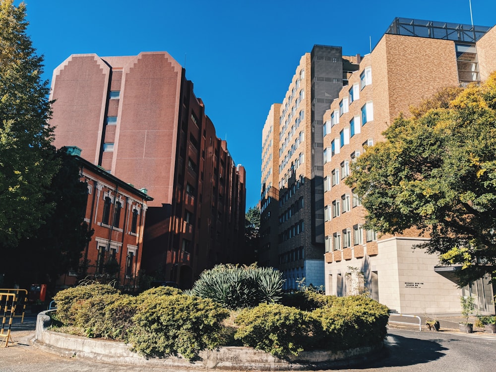 brown concrete building near green trees during daytime