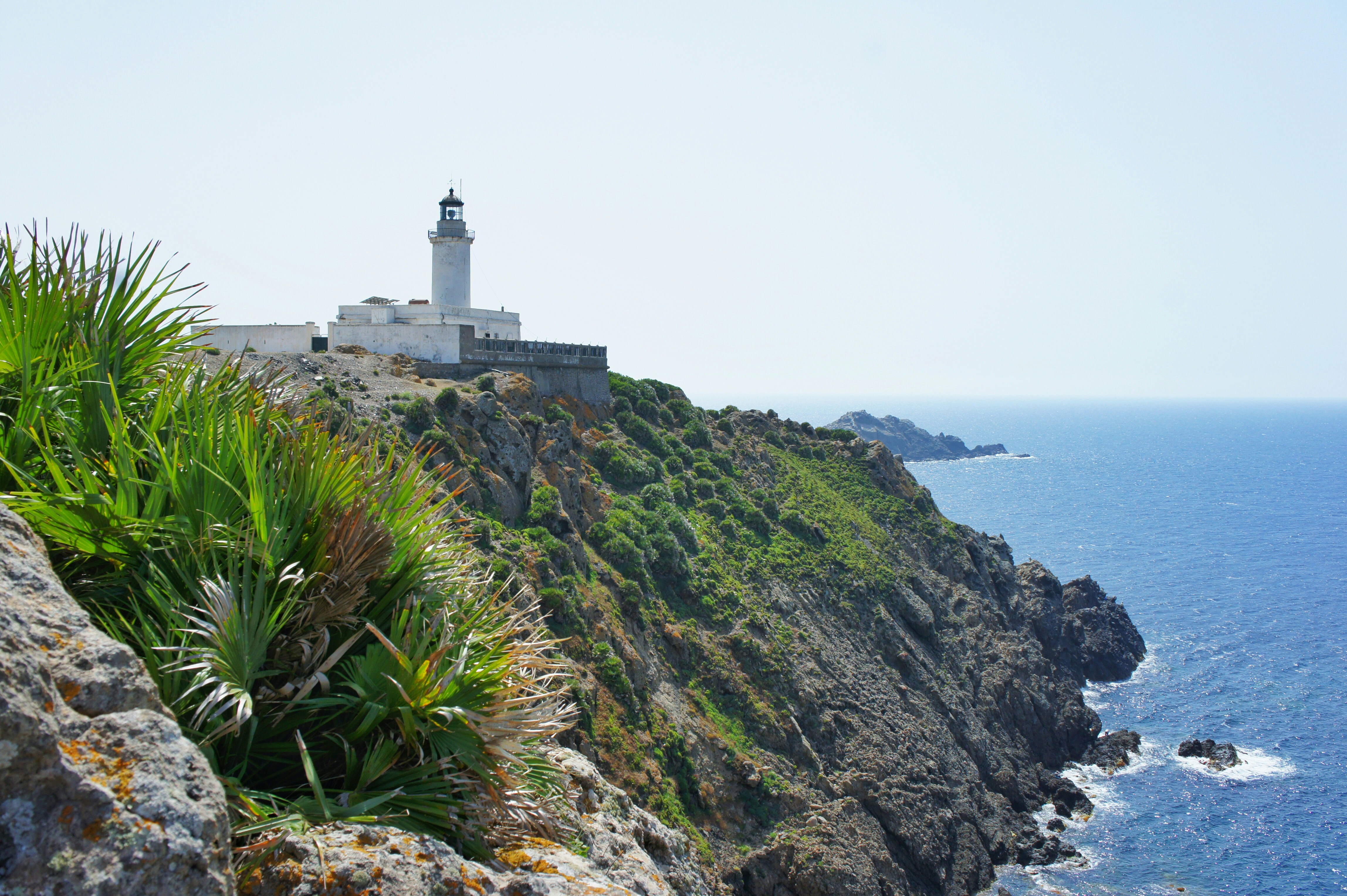 Photo by hamzabdrahman