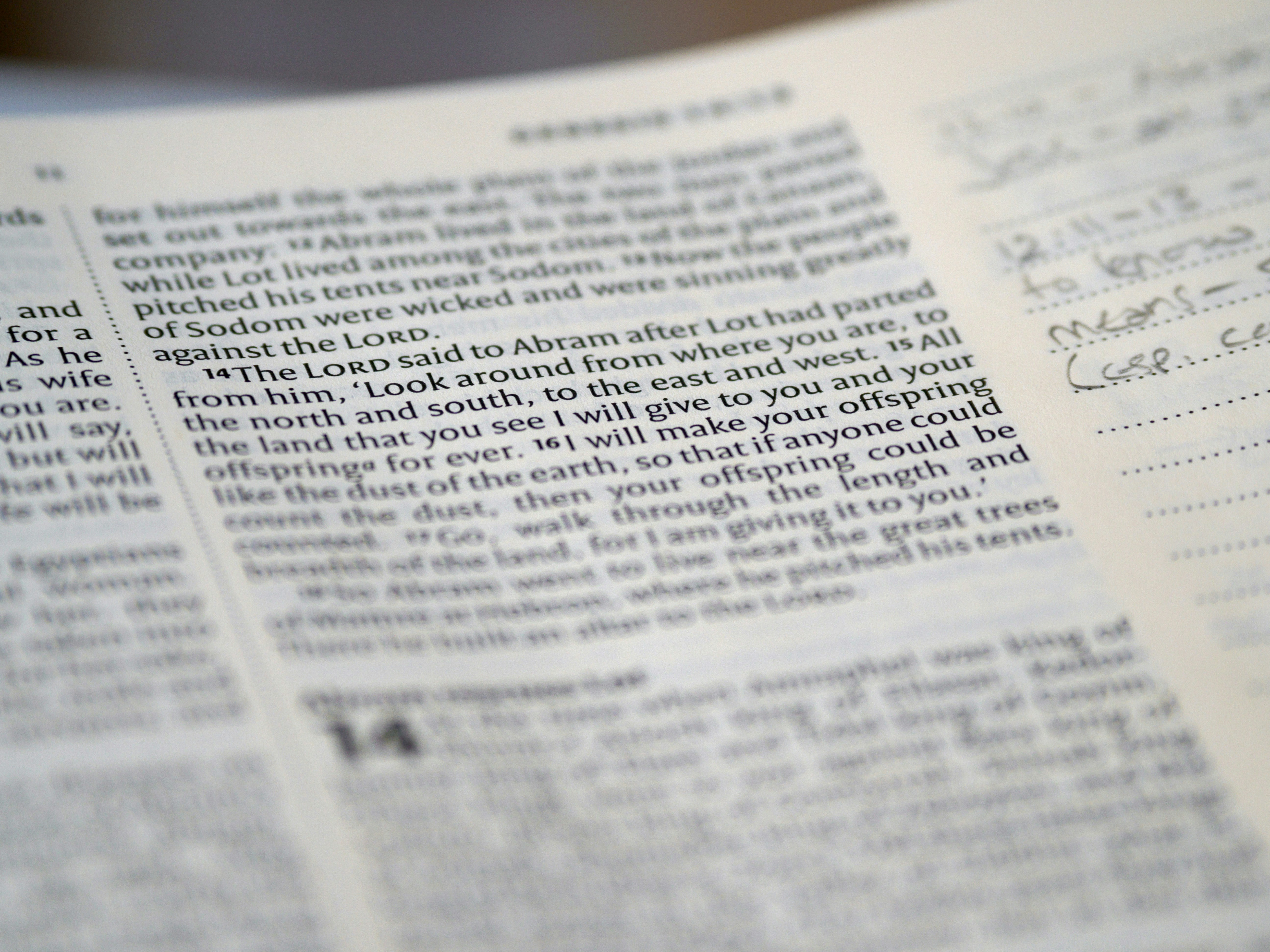 Photo by brett_jordan