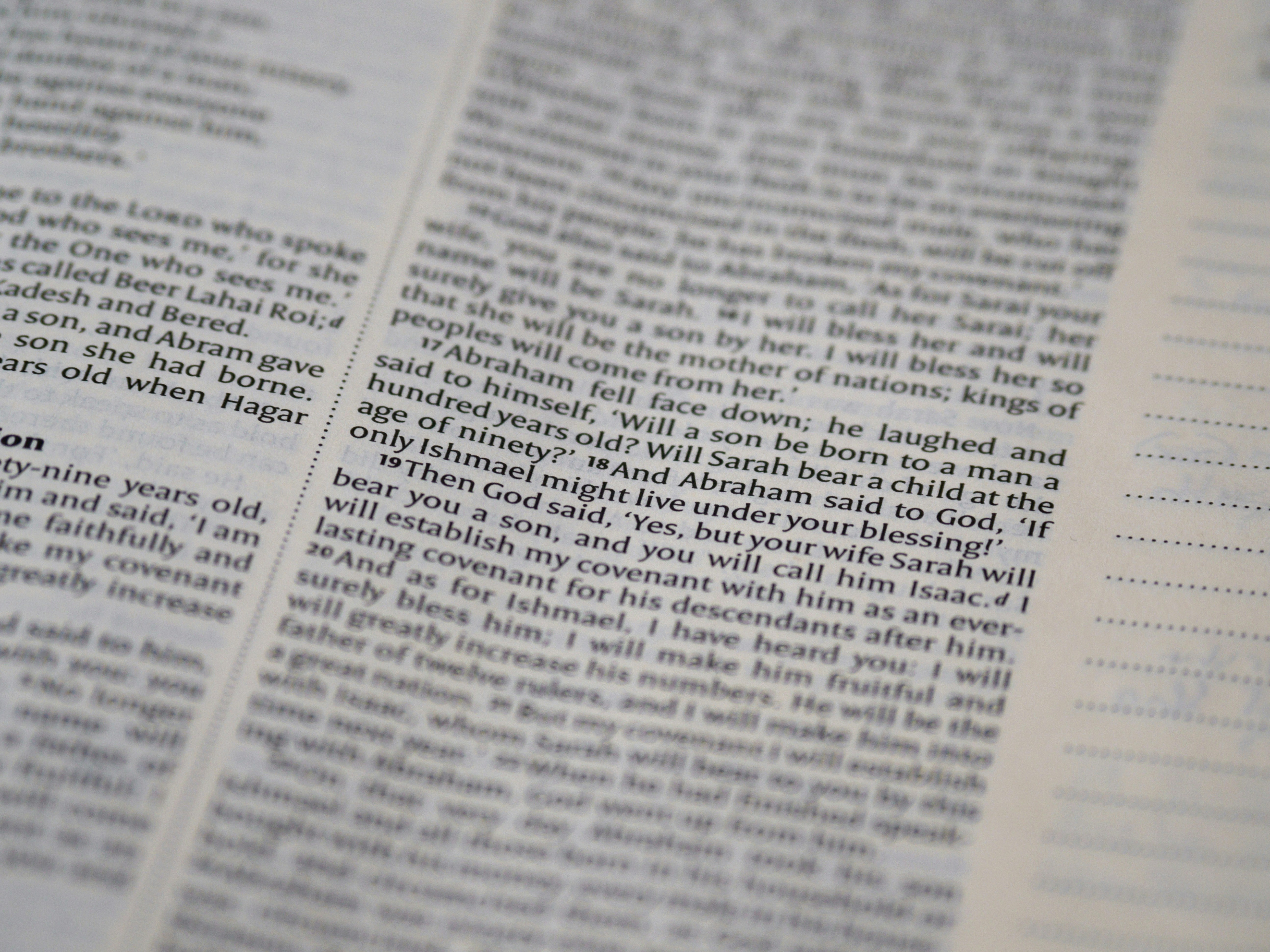 close up, bokeh, macro, blur, blurred background, close focus, bible, old testament, genesis, christian, judaism, history, text, genesis, pentateuch, reading, bible study, devotions, 