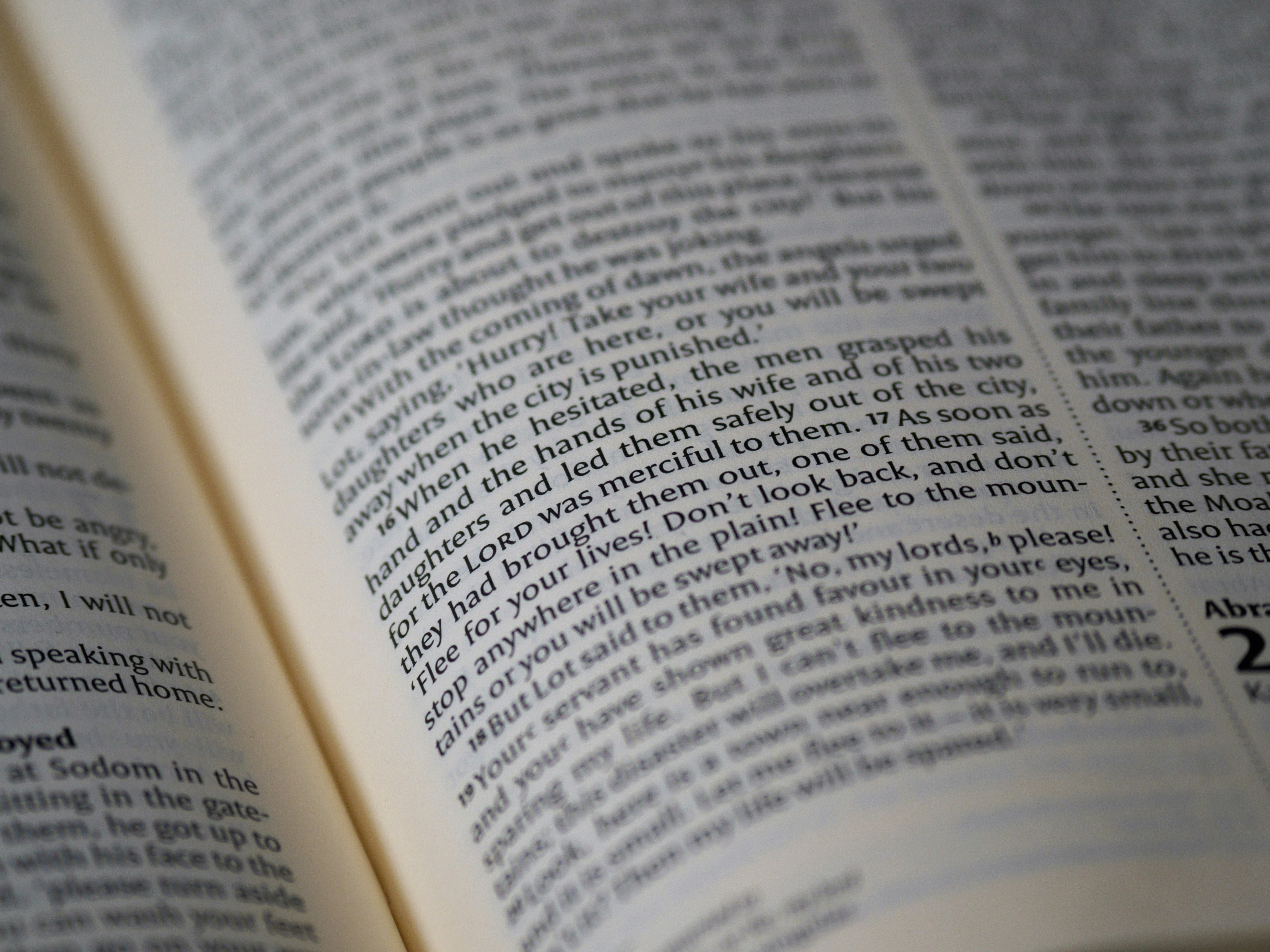 Photo by brett_jordan