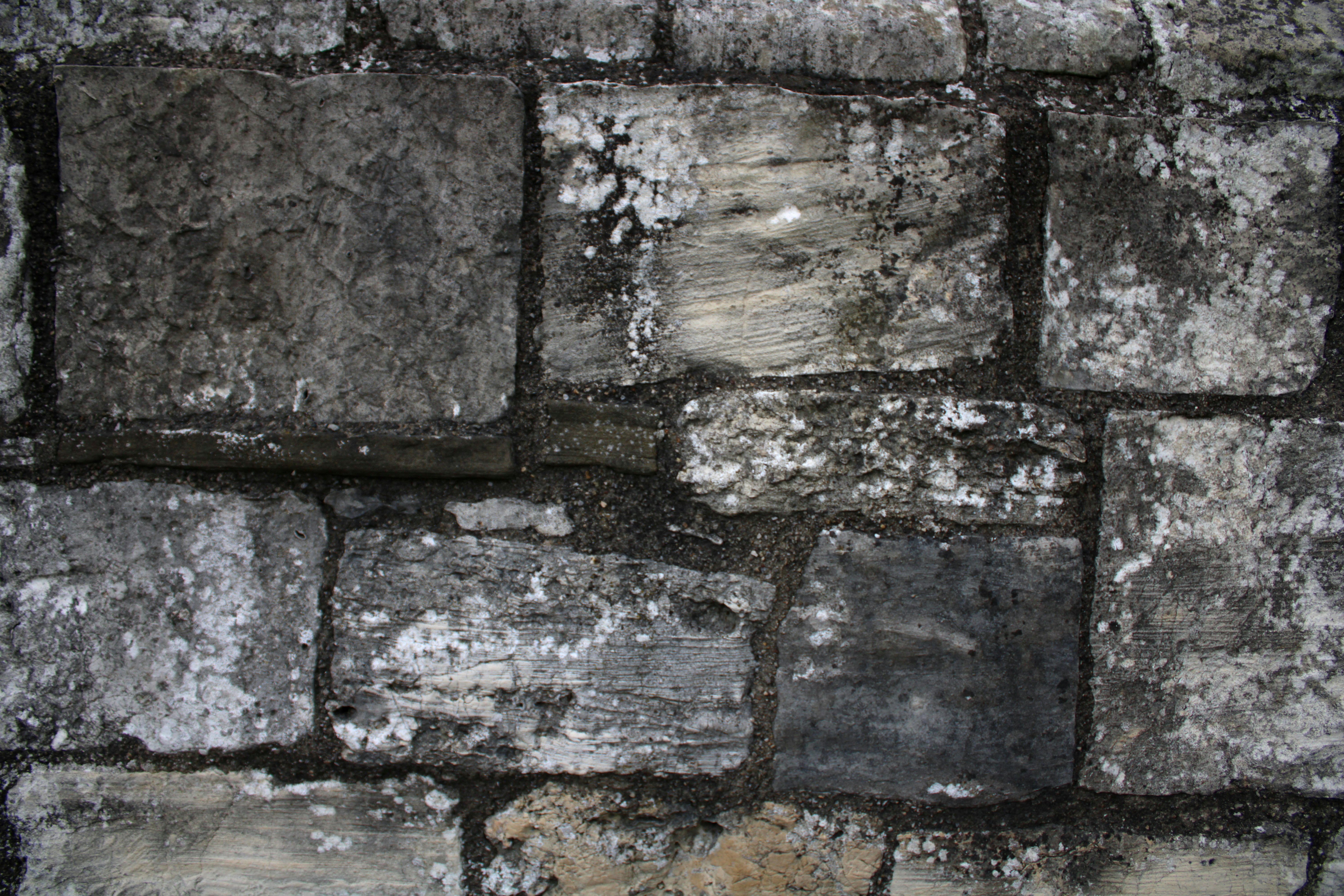 Photo by jacekkuzemczak