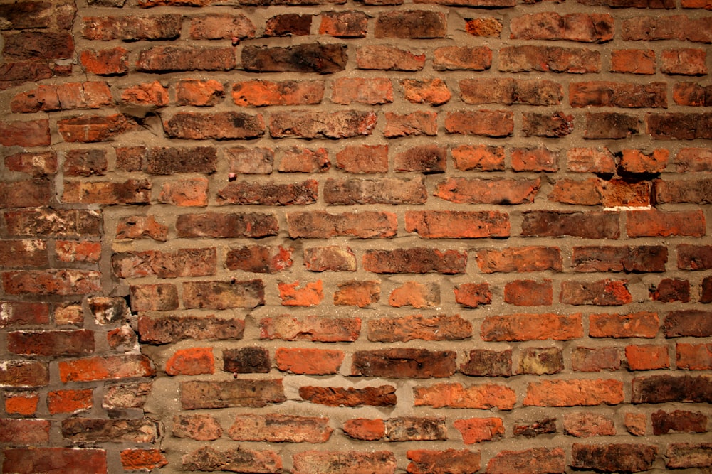 mur de briques brunes et blanches