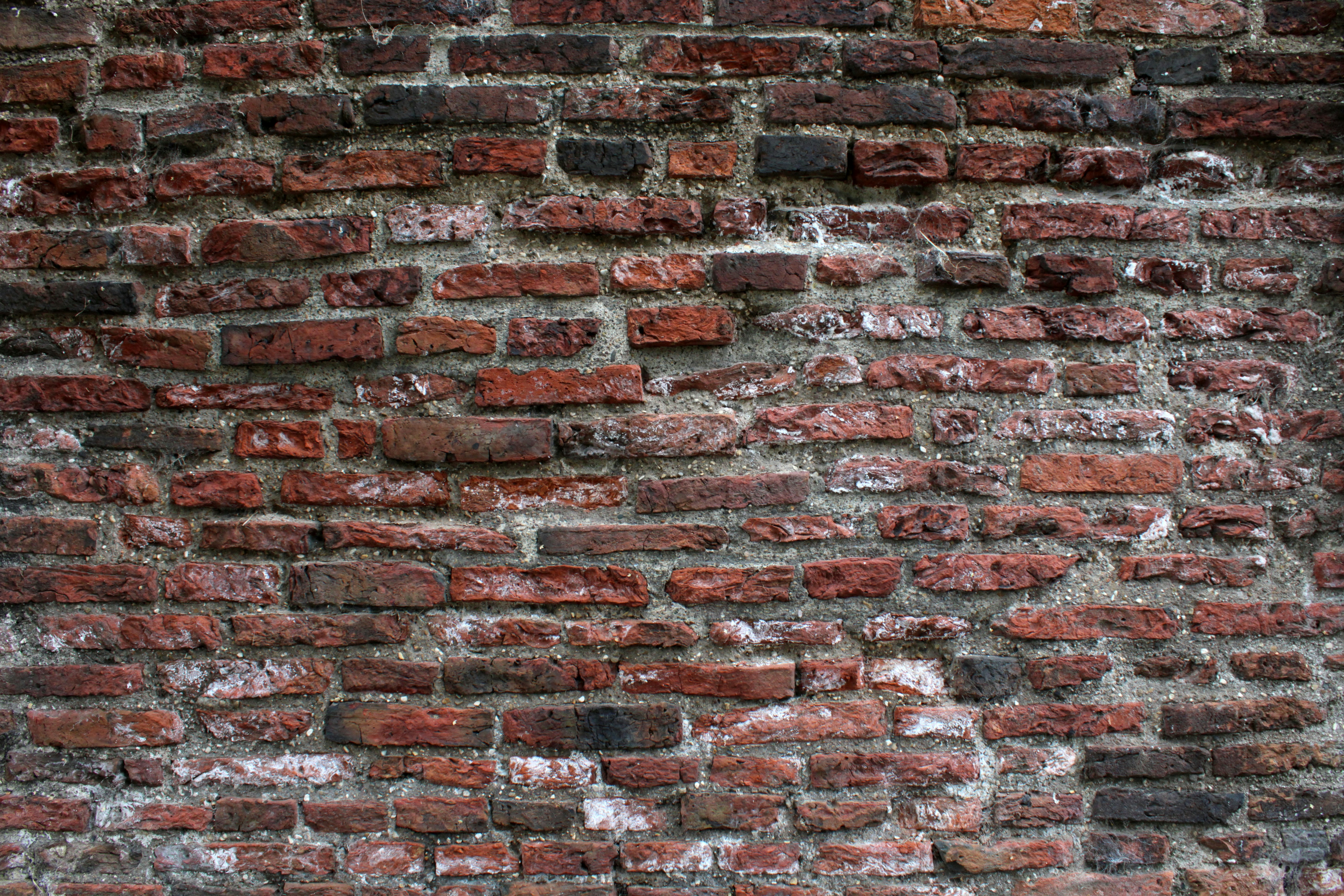 Photo by jacekkuzemczak