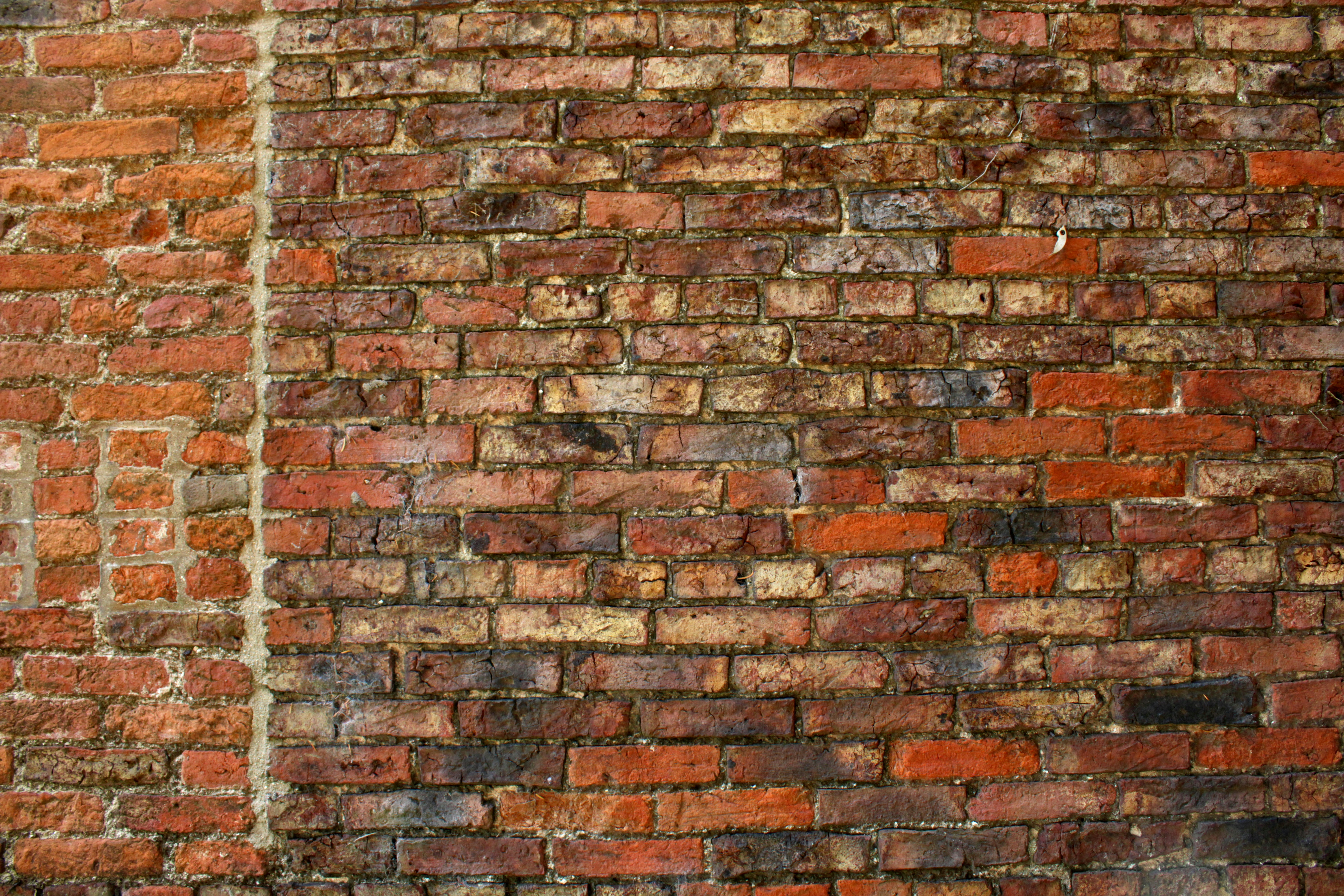 Photo by jacekkuzemczak