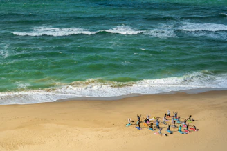 people on beach during daytime