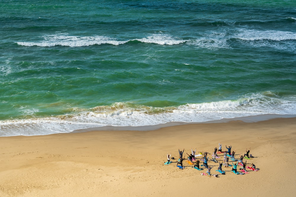 people on beach during daytime