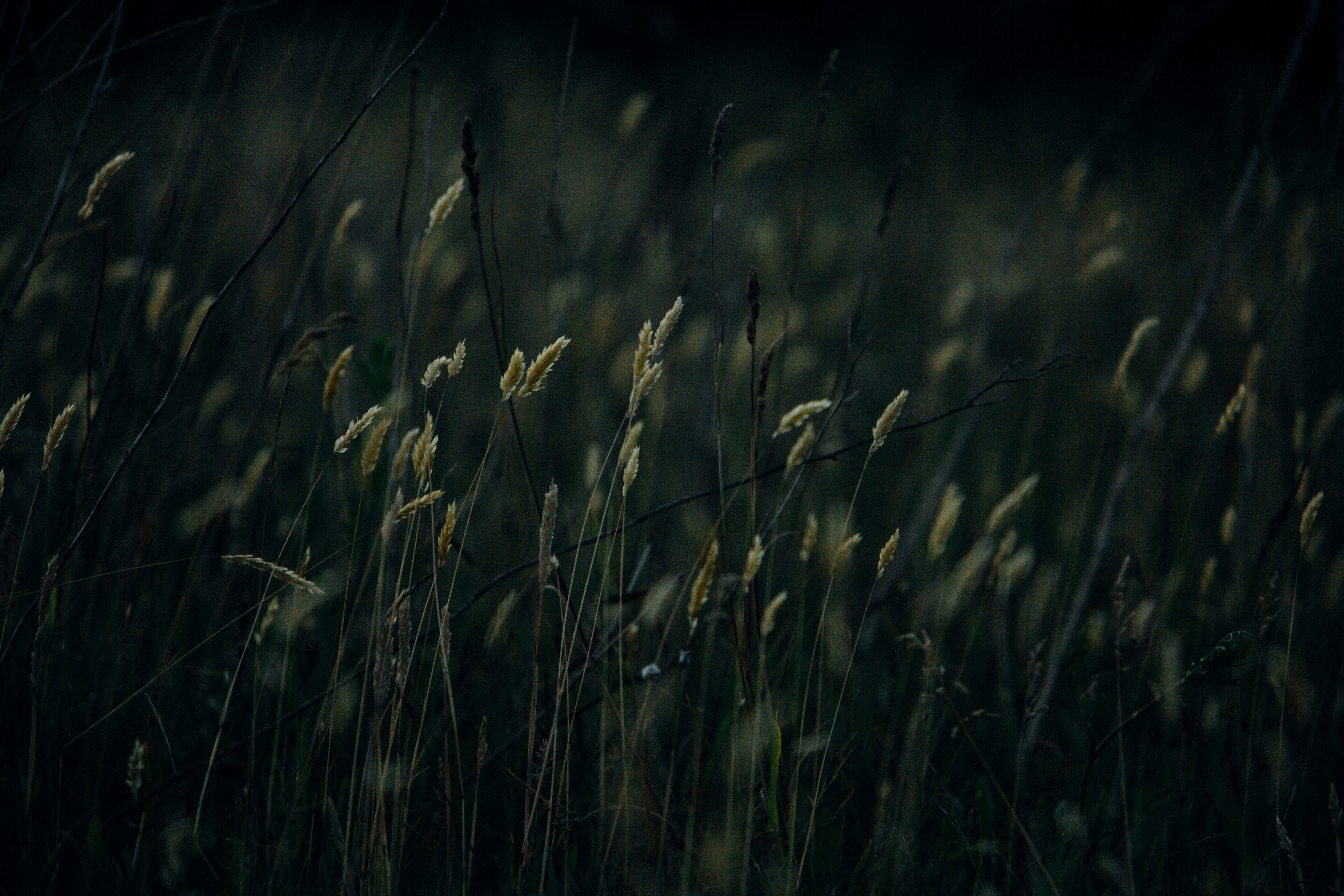 Photo by mikejerskine