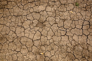 brown and black concrete floor