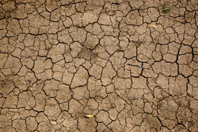 brown and black concrete floor