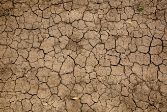 How Technology is Revolutionizing the Fight Against Climate Change