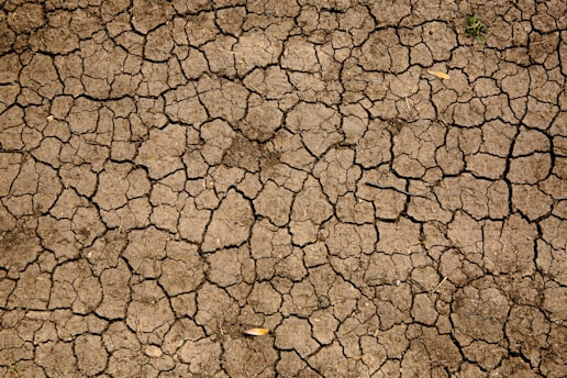 How Technology is Revolutionizing the Fight Against Climate Change
