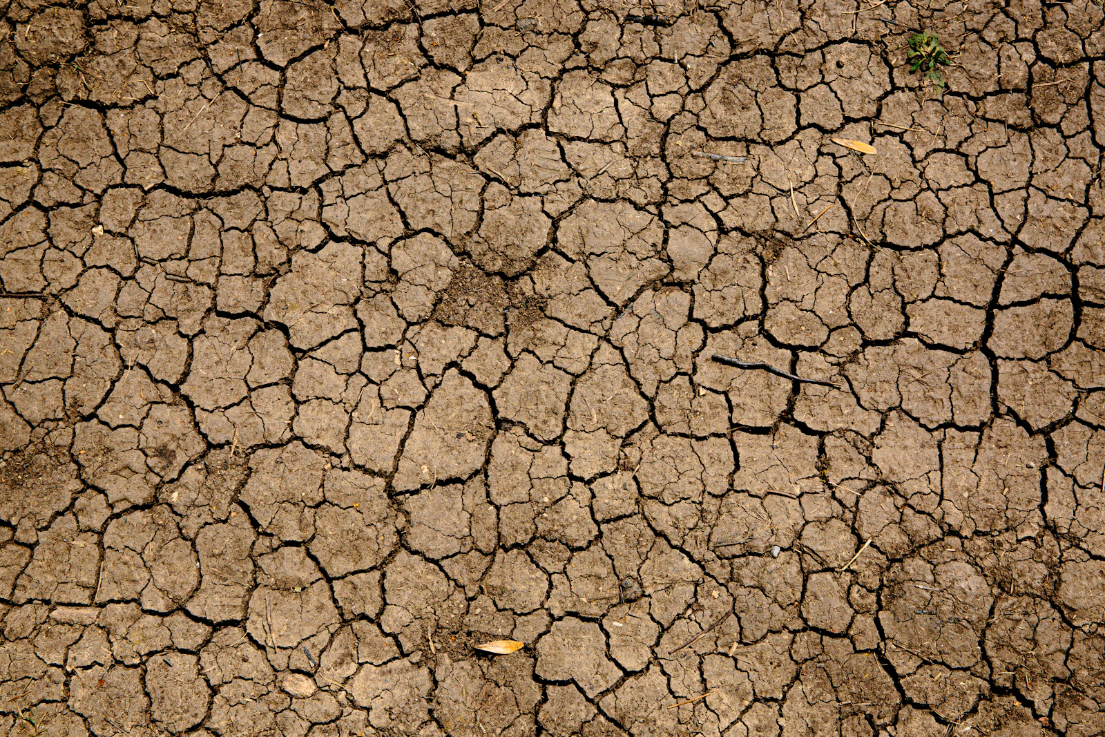 Dry earth with deep cracks