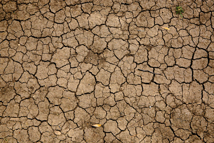 Dry earth with deep cracks