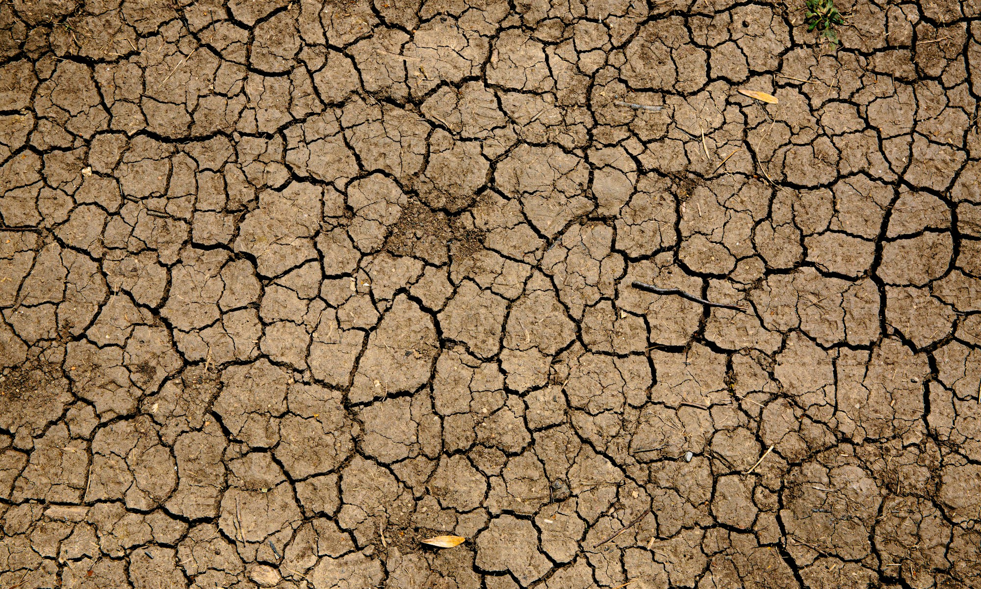 brown and black concrete floor