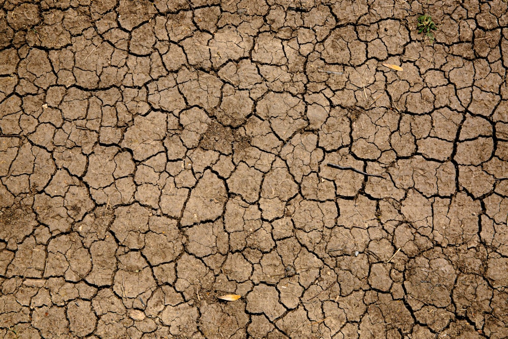 brown and black concrete floor