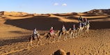 people riding camels on desert during daytime